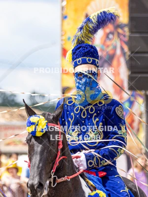 Detalhes da foto #41553