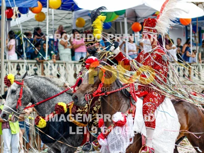 Detalhes da foto #61473