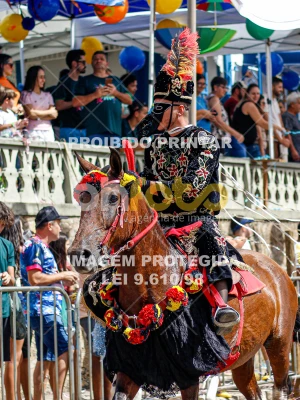 Detalhes da foto #89934