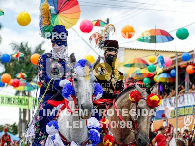 Detalhes da foto #79035