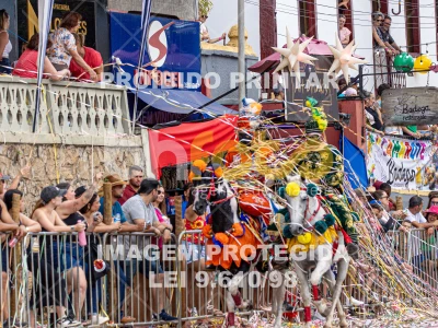 Detalhes da foto #22657