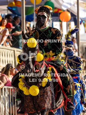 Detalhes da foto #68784