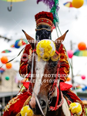 Detalhes da foto #24221