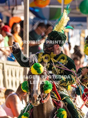 Detalhes da foto #16162