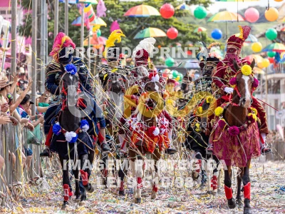 Detalhes da foto #87412