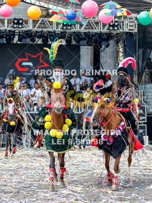 Detalhes da foto #51999