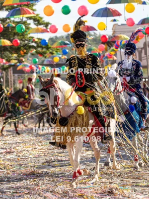 Detalhes da foto #62664