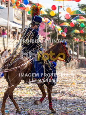 Detalhes da foto #49584