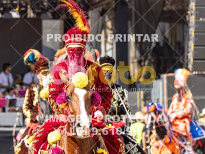 Detalhes da foto #43118