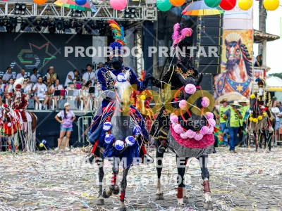 Detalhes da foto #85608