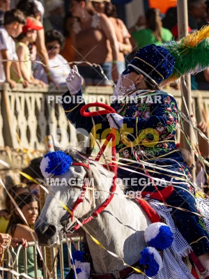 Detalhes da foto #94630