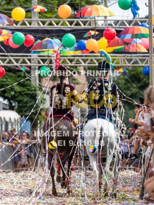 Detalhes da foto #86851