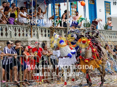 Detalhes da foto #18922