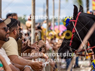 Detalhes da foto #95957