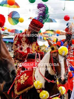 Detalhes da foto #71023