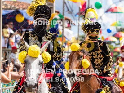 Detalhes da foto #85952