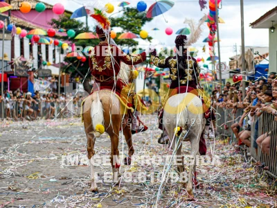 Detalhes da foto #55939