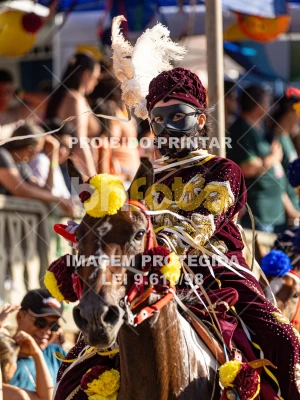 Detalhes da foto #10987