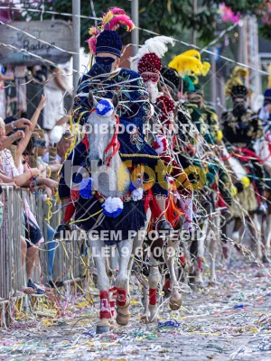 Detalhes da foto #70954