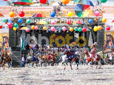 Detalhes da foto #72133