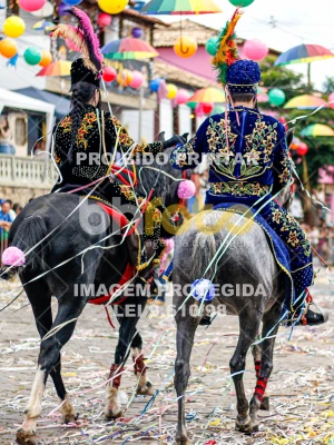 Detalhes da foto #79438