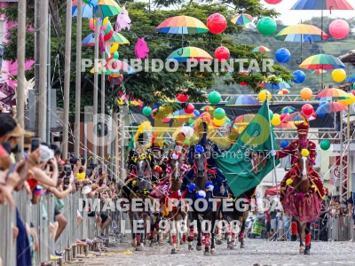 Detalhes da foto #22054