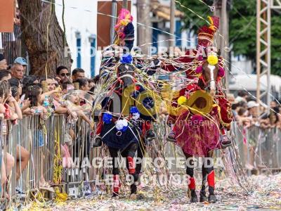 Detalhes da foto #34451