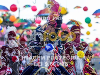 Detalhes da foto #11308