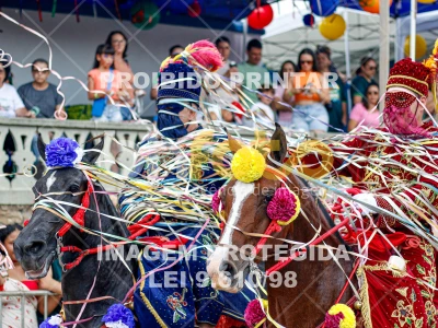 Detalhes da foto #26992