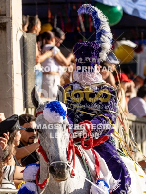 Detalhes da foto #72292