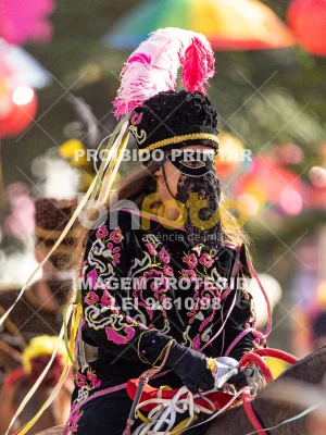 Detalhes da foto #49211