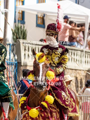 Detalhes da foto #48169