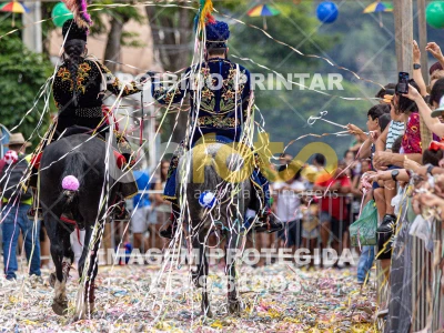 Detalhes da foto #18175