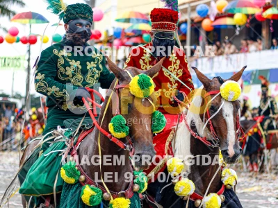 Detalhes da foto #99745