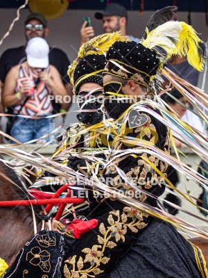 Detalhes da foto #87159