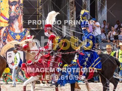 Detalhes da foto #64120