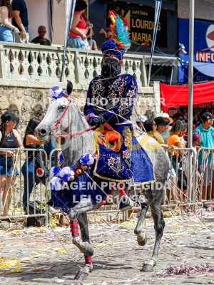 Detalhes da foto #16451