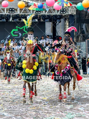 Detalhes da foto #27012