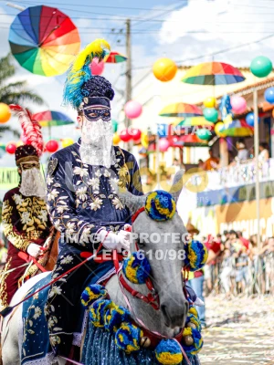 Detalhes da foto #63980