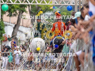 Detalhes da foto #15752