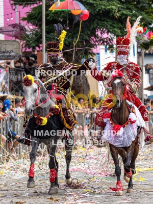 Detalhes da foto #68259