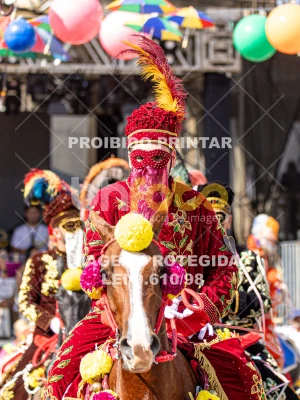 Detalhes da foto #53473