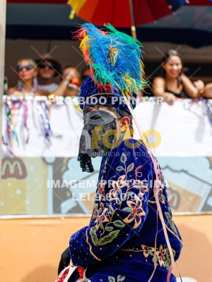 Detalhes da foto #54299