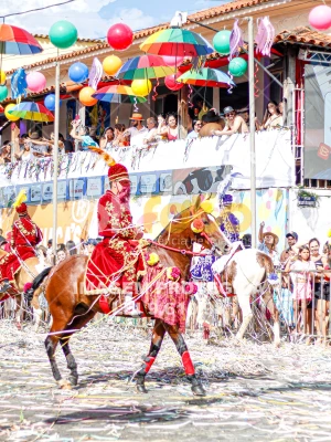 Detalhes da foto #46387