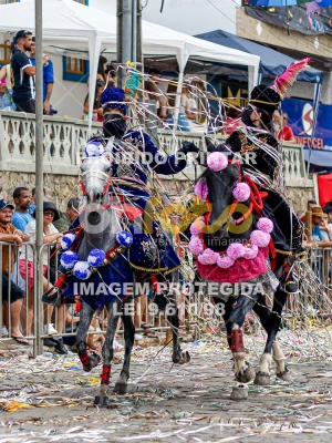 Detalhes da foto #23896