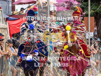 Detalhes da foto #34746