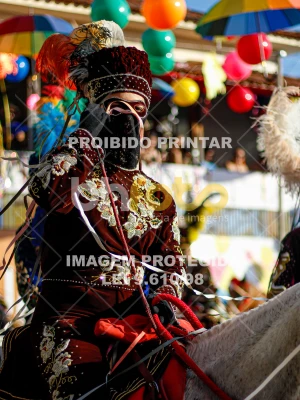 Detalhes da foto #20131