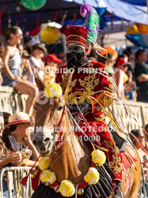 Detalhes da foto #37978