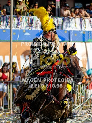 Detalhes da foto #50392