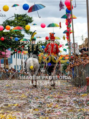 Detalhes da foto #93949